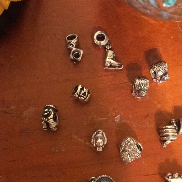 Silver Pandora Charm Bracelets - Picture 2 of 11